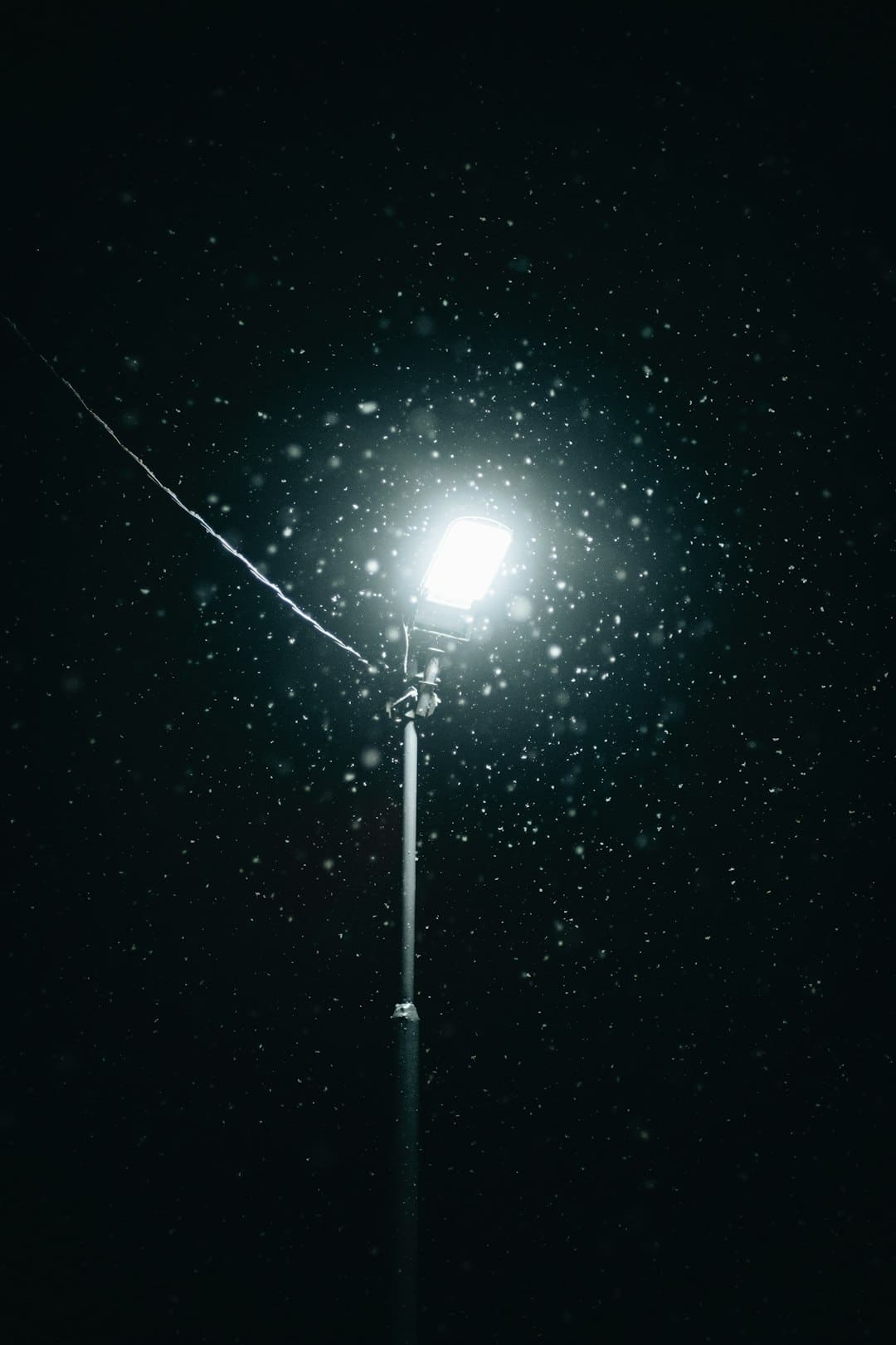 盖尔·加朵回应《白雪公主》票房惨败